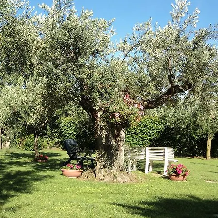 Vetiche Lantgård Rocca San Giovanni