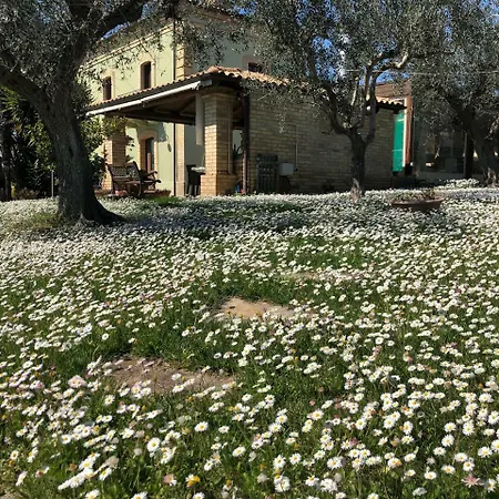 农家乐 Vetiche 罗卡圣乔瓦尼