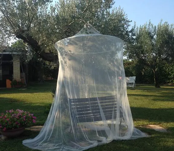 Vetiche Rocca San Giovanni