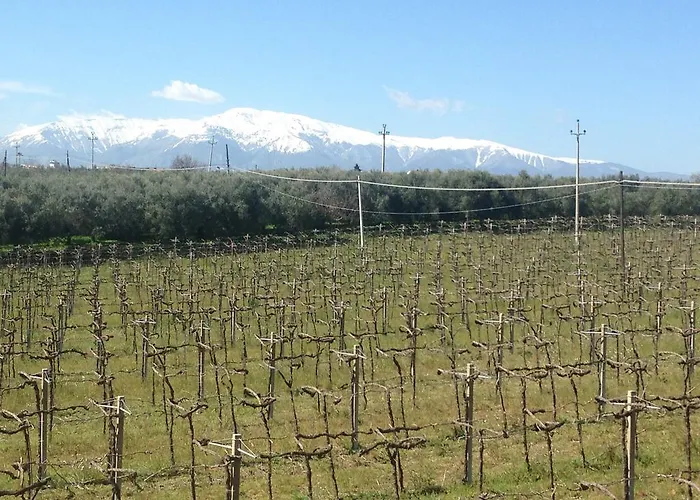 Vetiche Séjour à la ferme